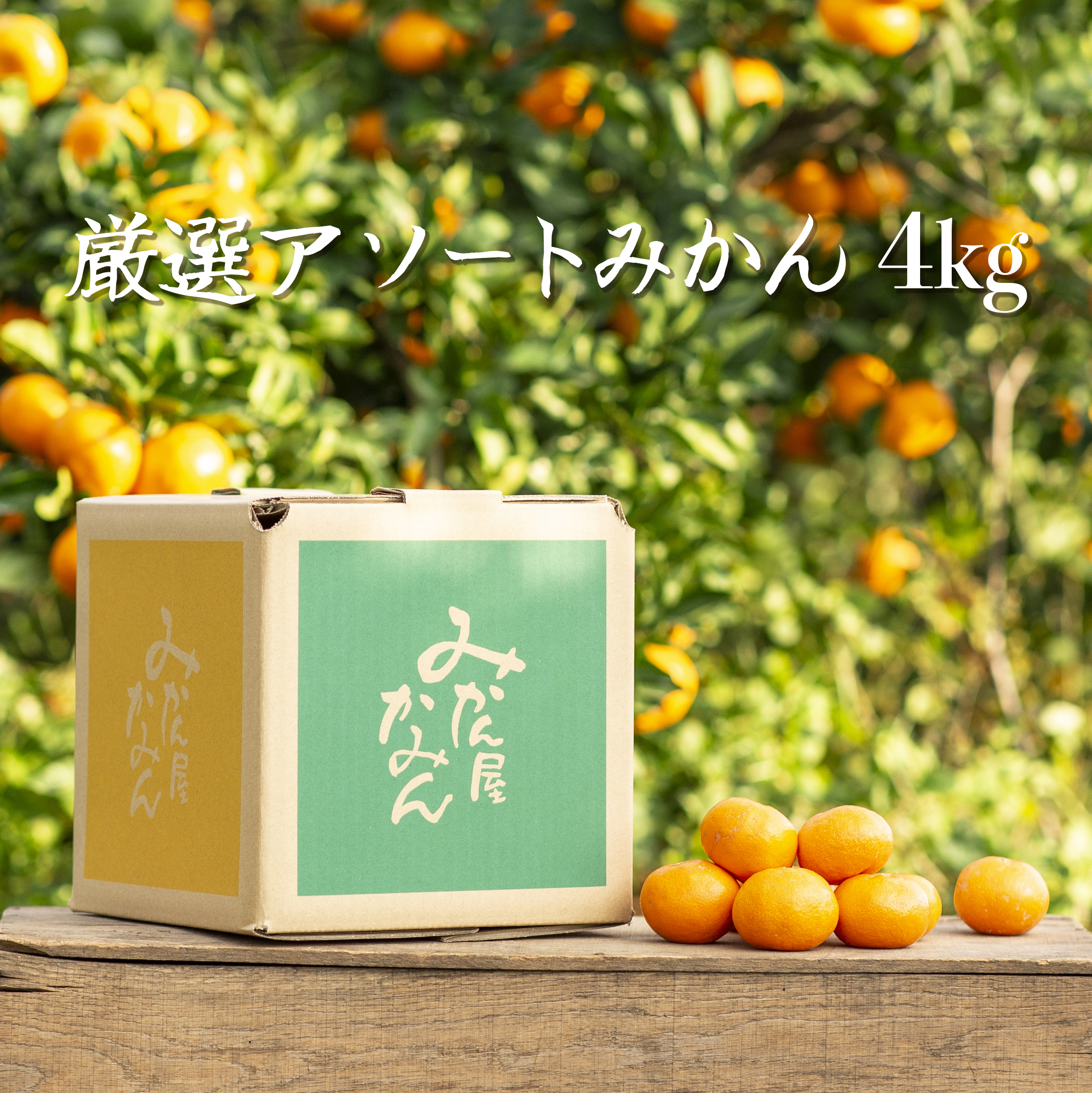 厳選アソートみかん　4kg　しずる